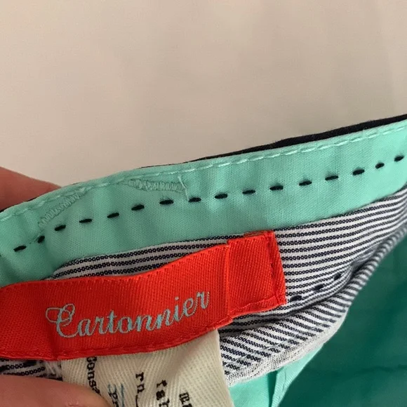 Anthropologie Teal Ankle Pants - Picture 12 of 12